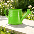 thumbnail image 4 of Metal Watering Can,1 liter Capacity Metal Watering Can with Sprinkler Head for Indoor Outdoor Plants, Flowers, Garden, Lawn, 4 of 4