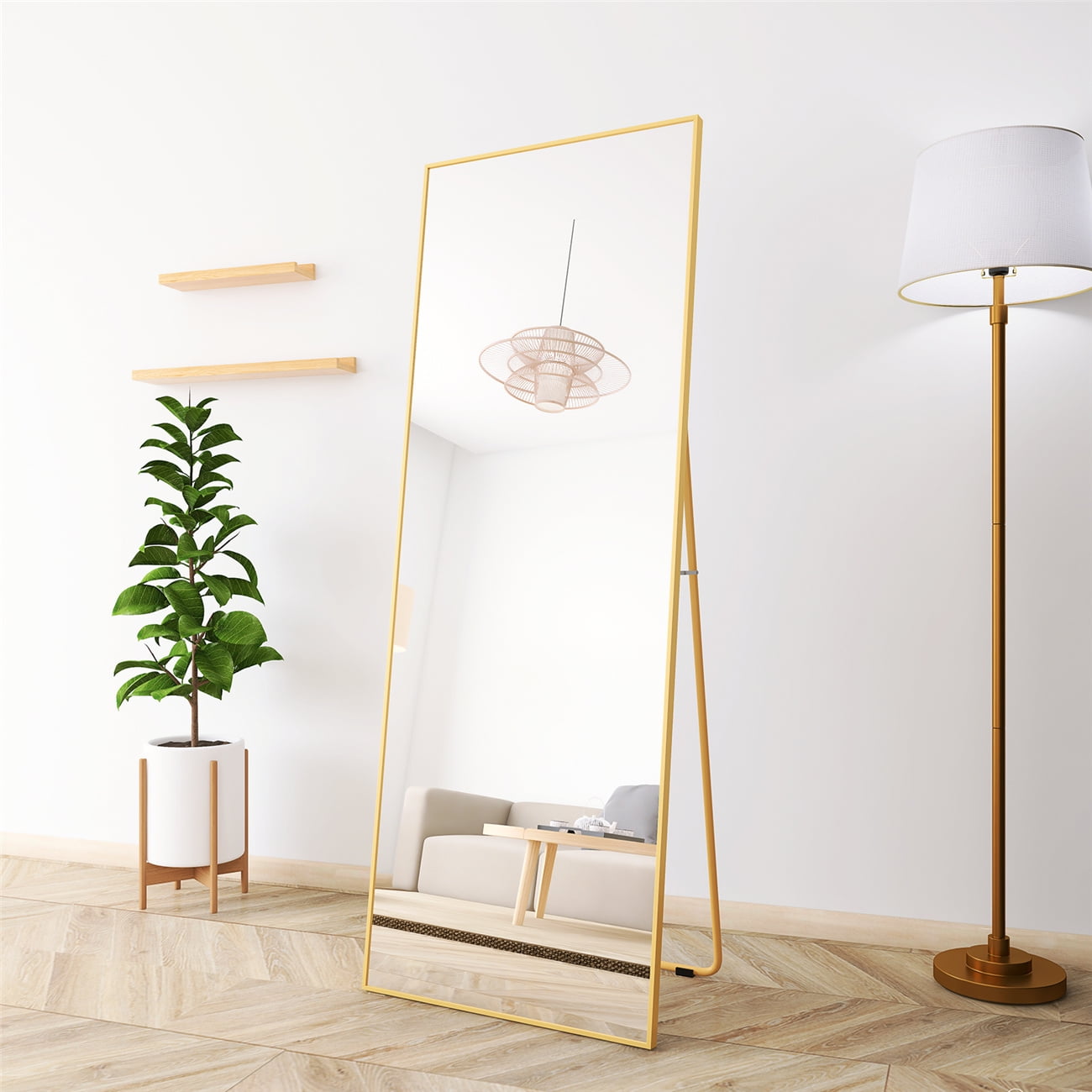 Full Length Mirror, 65"L x 24"W Floor Free Standing Mirror, Modern Full