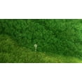 thumbnail image 3 of The Red Turtle (DVD Sony Pictures), 3 of 5