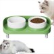 thumbnail image 4 of Cuenco Elevado Inclinado Platos Altos para Gatos Comedero Ergonómico para Mascotas Sin Estrés Elevados para Gatos con Soporte Antideslizante Verde, 4 of 5