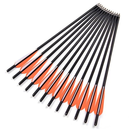 LELINTA 20 Hunting Archery Carbon Arrow Crossbow Bolts Arrow with 4 vanes Feather and Replaced Broadhead/Tip(Pack of 12)