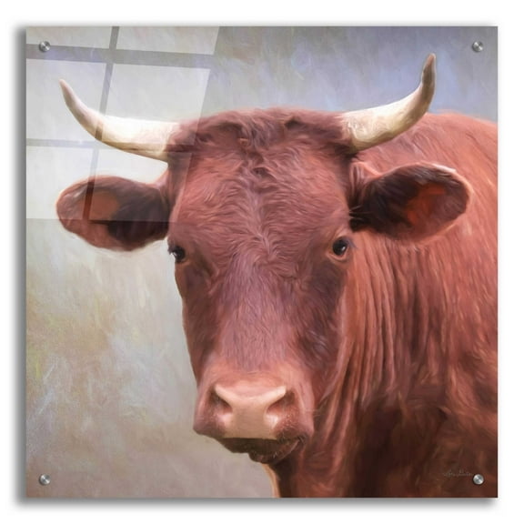 Epic Art 'Bull Face' by Lori Deiter, Acrylic Glass Wall Art, 24"x24"