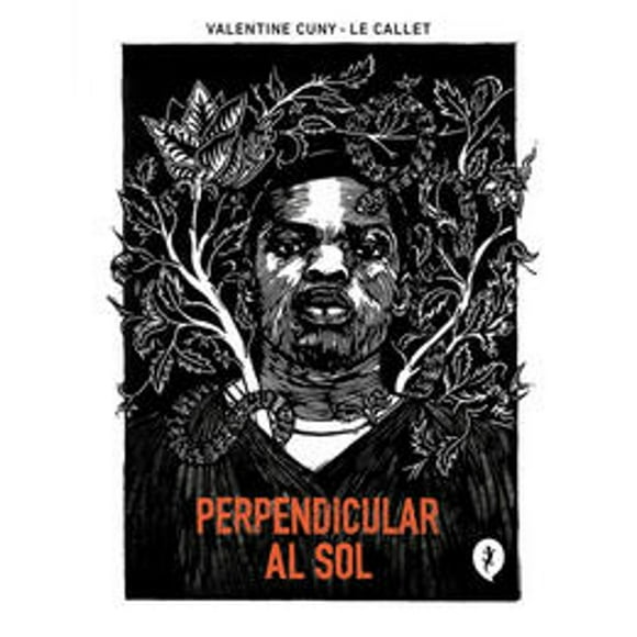 Libro Perpendicular Al Sol Tapa Blanda, Autor Valentine Cunyle Callet, Editorial Salamandra Graphic