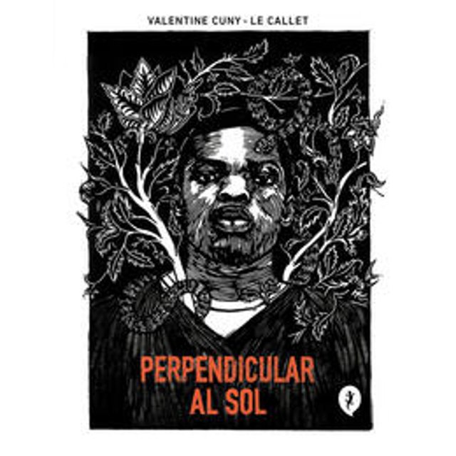 Libro Perpendicular Al Sol Tapa Blanda, Autor Valentine Cunyle Callet, Editorial Salamandra Graphic