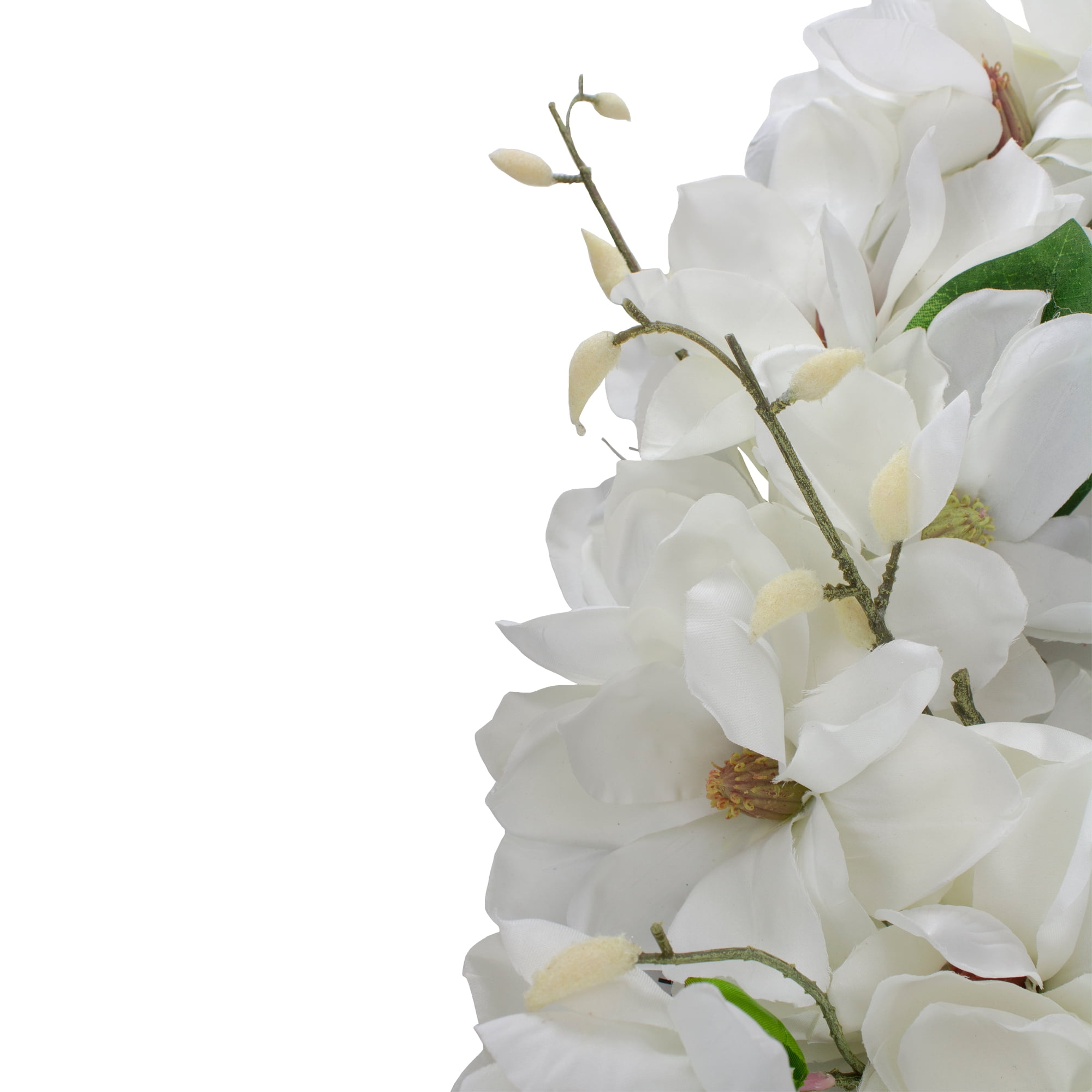 Northlight White Magnolias Spring Artificial Plant & Flower Wreath 24"