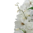 thumbnail image 4 of Northlight White Magnolias Spring Artificial Plant & Flower Wreath 24", 4 of 6