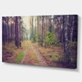 thumbnail image 2 of Straight Pathway in Thick Forest - Modern Forest Canvas Art, 2 of 3
