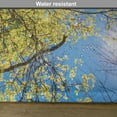 thumbnail image 6 of Ambesonne Scenery Place Mats Set of 4, Pastoral Tree Branch, Standard Size, Green Blue, 6 of 6