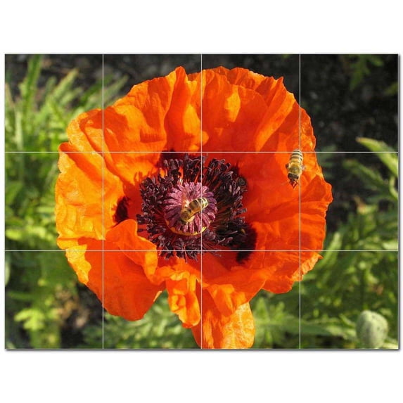 Flower Photo Ceramic Tile Mural Kitchen Backsplash Bathroom Shower 404826-M43