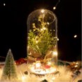 thumbnail image 3 of Cúpula de cristal Plantas navideñas Decoraciones navideñas Cúpula de cristal Rama de pino navideño con luces, 3 of 5