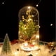 thumbnail image 3 of Cúpula de cristal Plantas navideñas Decoraciones navideñas Cúpula de cristal Rama de pino navideño con luces, 3 of 5