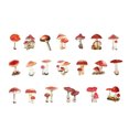thumbnail image 4 of CAROOTU Sticker Scrapbooking Supplies Beautiful Adhesive Decorative Sticker For Gift Packaging Notebooks, 4 of 7