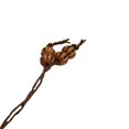 thumbnail image 3 of 99 Count Large Brown Gourd Shape Plastic Rosary Prayer Dikr Beads with Sections, 3 of 3