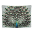 thumbnail image 5 of GOSMITH Being Yourself - Peacock Art Wall Hanging Tapestry Painting, 5 of 6