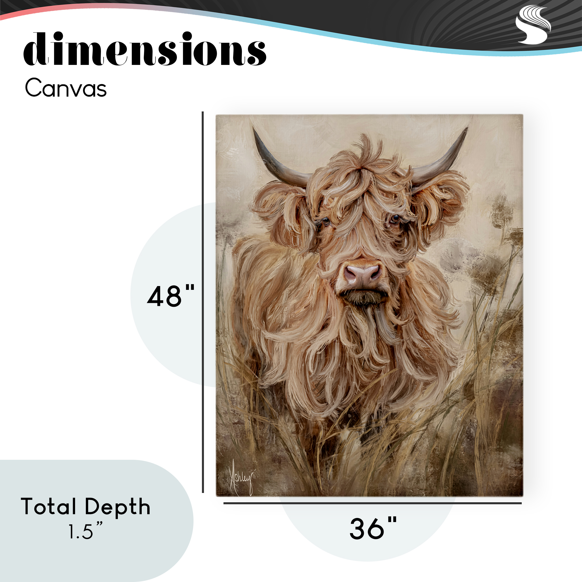 Curly Haired Highland Cattle Canvas Wall Art, design by Ashley Bradley
