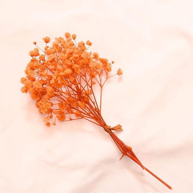 TQEHS Flores secas de algodón mini y frescas de Babysbreath natural K5 G9X6