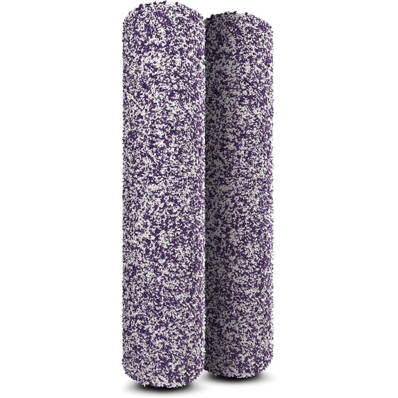unbrand HydroVac 2-Pack Antimicrobial Brushroll* for All Sealed Hard Floors and Area Rugs, Replacement Brushrolls for All Hydrovac 3-in-1 Multi-Surface Cleaners, Purple, WDB2