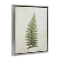 thumbnail image 4 of Stupell Industries Detailed Fern Frond Botanical & Floral Painting Gray Floater Framed Art Print Wall Art, 17 x 21, 4 of 10