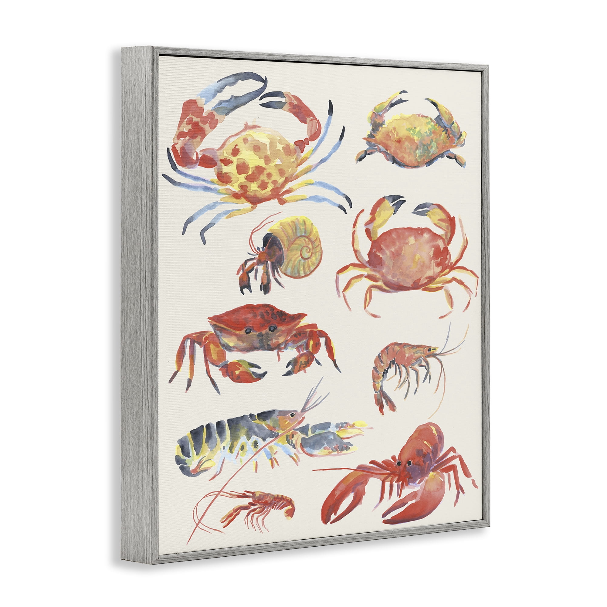 Stupell Industries Nautical Crustacean Collection Gray Framed Giclee Art, design by June Erica Vess