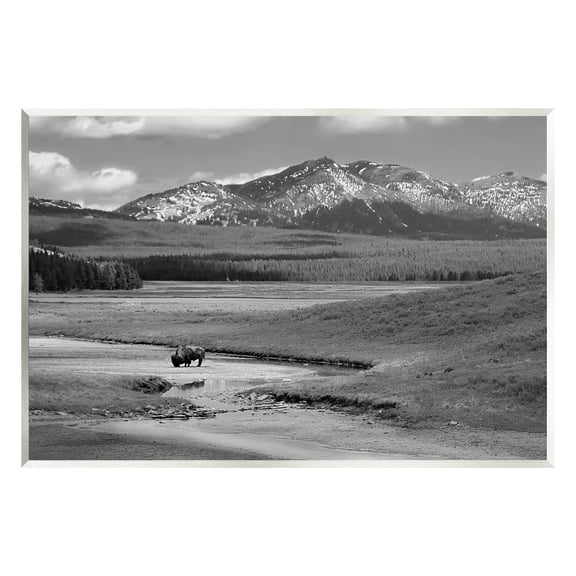 Stupell Industries Bison in Mountain Scene Landscape Photography Unframed Art Print Wall Art, 15 x 10
