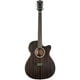 thumbnail image 3 of Guitarra electroacústica Washburn Dfeace Ebony Ace, 3 of 3