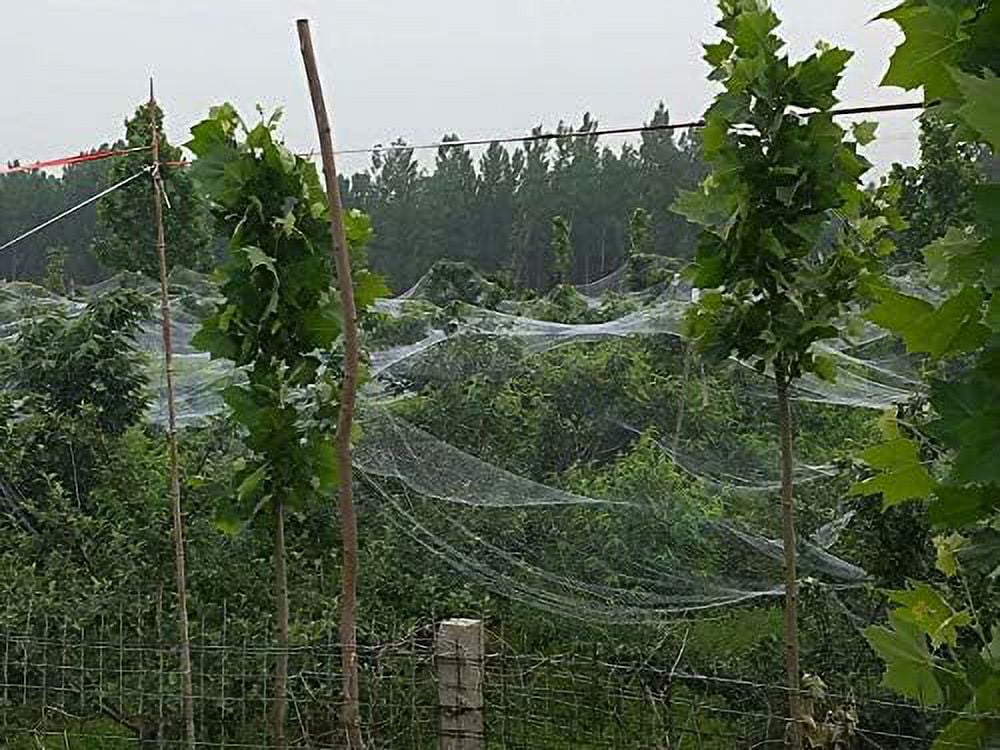 Anti-Aging Orchard Anti-Hail Netting Vegetable Garden Hail Protect Netting,6.5x100ft