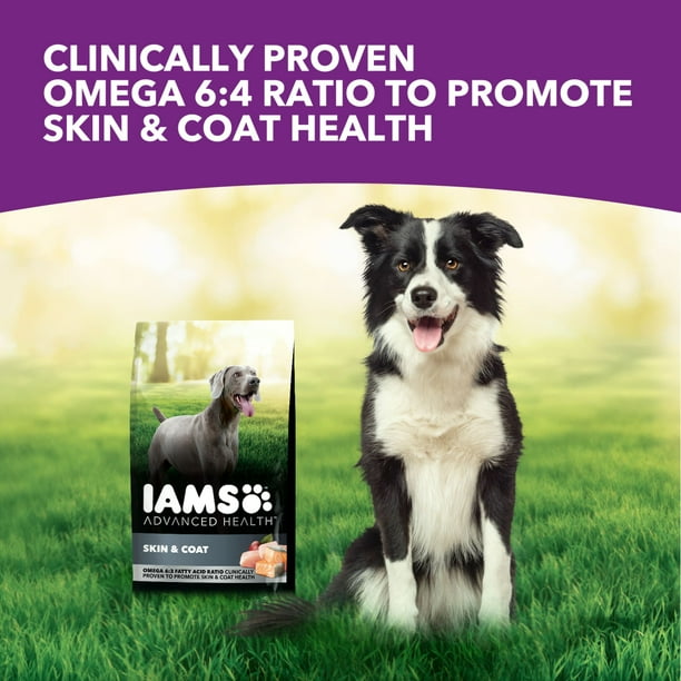 Iams Advanced Health Skin & Coat Chicken And Salmon Recipe Adult