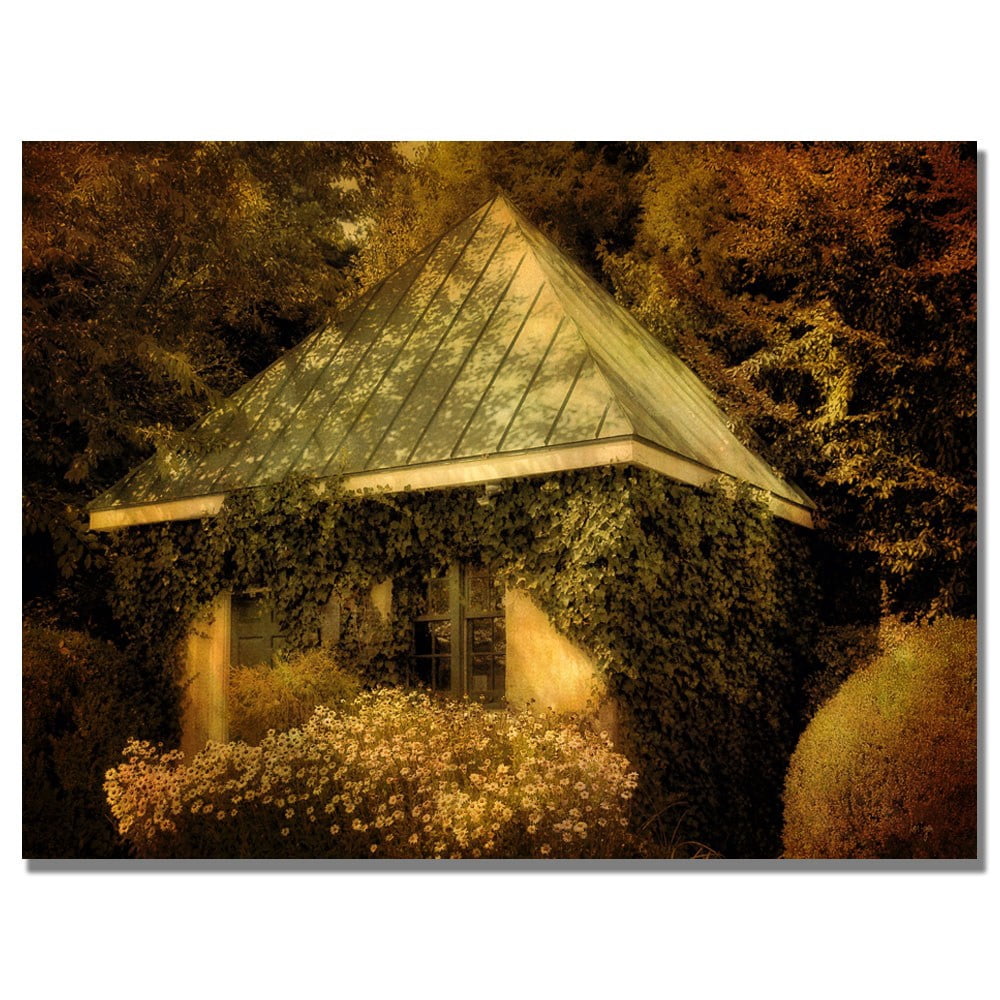 Trademark Fine Art "Forgotten Shed" Canvas Wall Art by Lois Bryan
