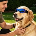thumbnail image 4 of Gytml Dog Cat Sunglasses Uv Protection, Lightweight Adjustable Strap Pet Goggles, Windproof Eye Care Essential Outdoor Accessory For Small Medium Dogs & Cats(Blue-12X3.5cm), 4 of 4