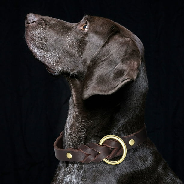 Dog collar black friday sale discount