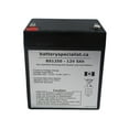 thumbnail image 1 of UB1250 12V 5Ah Garden Leaf Blower SLA AGM Battery, 1 of 1