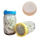 thumbnail image 3 of 4 tapas de plástico para germinación con malla de acero inoxidable para frascos de boca ancha de 86 mm. Tapa de colador con soporte., 3 of 10