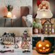 thumbnail image 5 of Set of 4 Accessory Cord with Led Light Bulb, 6Ft Blow Mold Indoor String Lights, C7/E12 2700K Warm White, 5 of 5