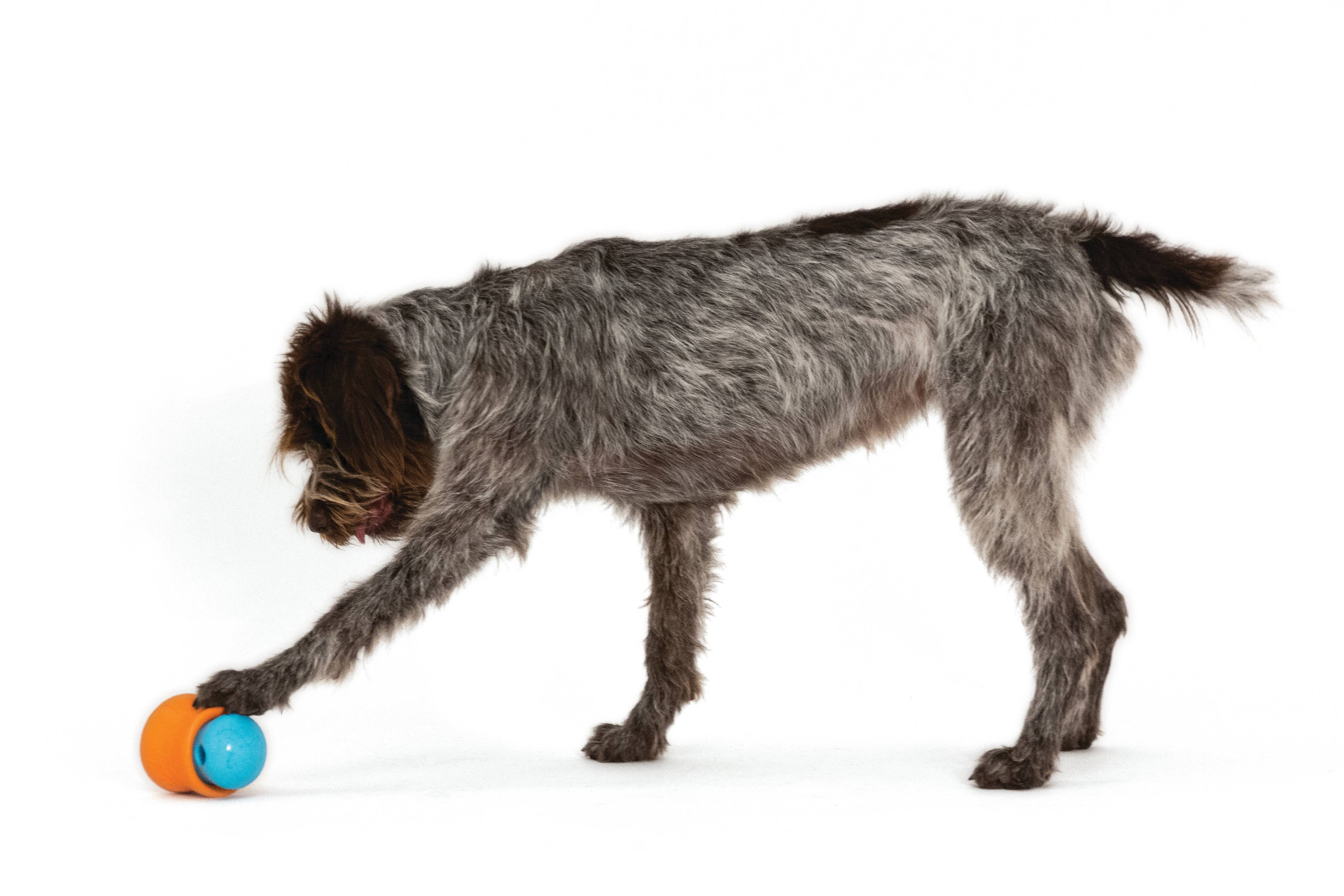 West Paw Zogoflex Toppl Large 4" Dog Toy Aqua