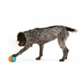 thumbnail image 5 of West Paw Zogoflex Toppl Large 4" Dog Toy Aqua, 5 of 9