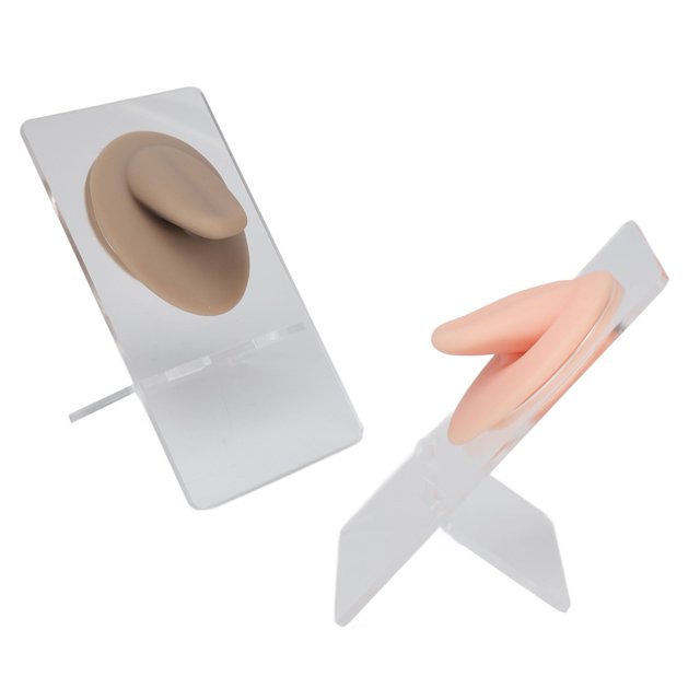Modelo De Lengua, 2 Juegos De Práctica Elástica Profesional Modelo De Lengua De Silicona 3D Con Soporte Para Salón De Perforación