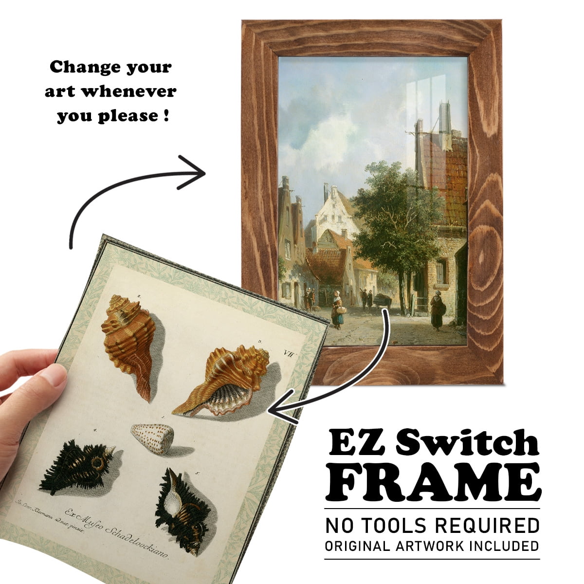 Bookplate Shells I - Framed Print w/glass - Walnut