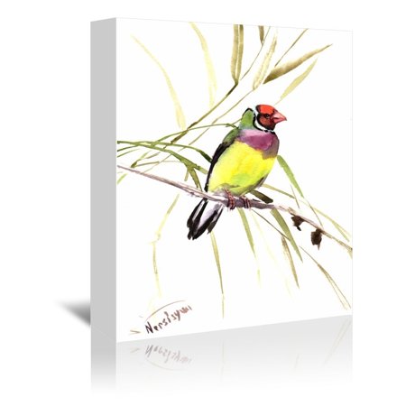 Americanflat  'Gouldian Finch' Gallery Wrapped Canvas