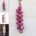 thumbnail image 5 of KDJ Artificial String Garlic Faux Onion Fake Food House Kitchen Party Office Decor - for Home Decor, 5 of 7