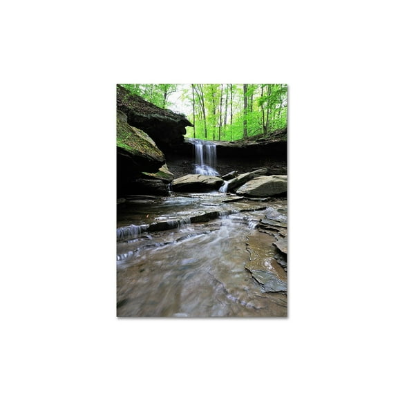 Trademark Fine Art "Blue Hen Falls in Spring" Canvas Wall Art by Kurt Shaffer