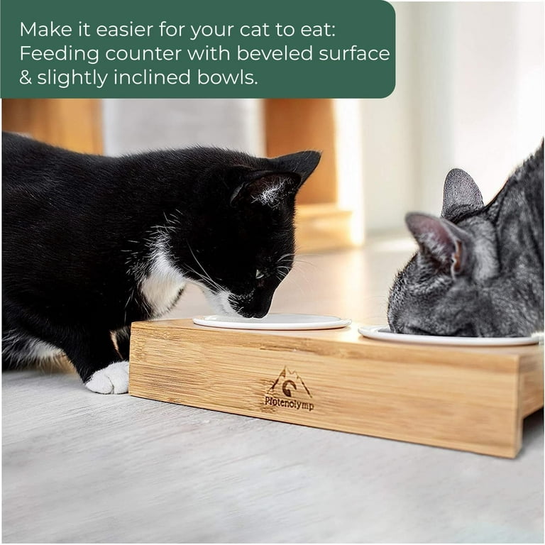 Buy Ergonomic Cat Feeding Bowls @ $22.99 - FREE SHIPPING