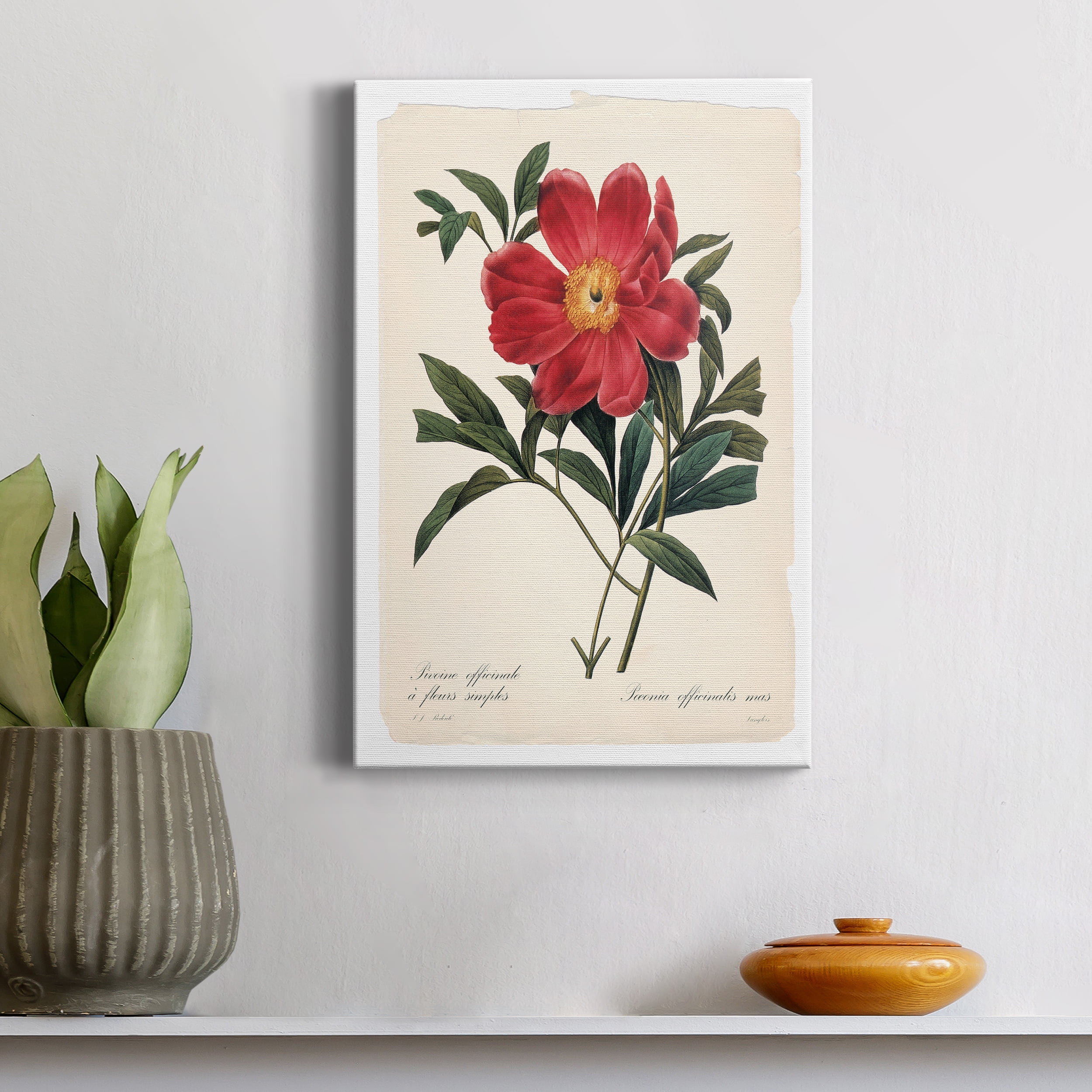 Red Botanical IV Premium Gallery Wrapped Canvas - Ready to Hang - 12 x 18