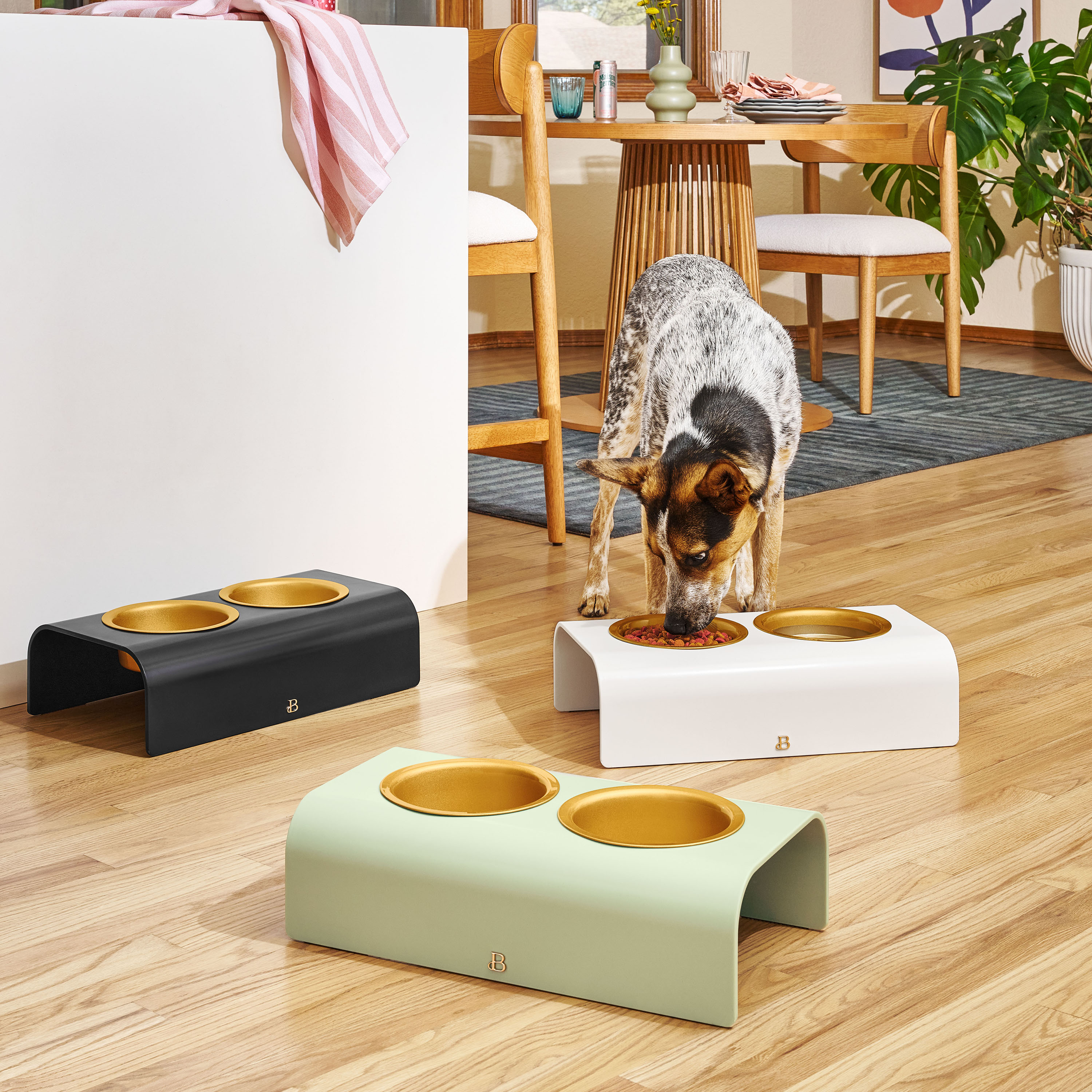 Beautiful by Drew Barrymore Double Elevated Pet Bowl photo 3