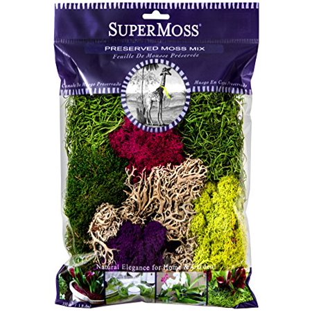 Super Mos Super Moss SuperMoss (7 59834 23312 1) Moss Mix Preserved, 8oz ...
