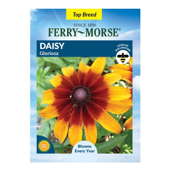 Ferry-Morse 100MG Gloriosa Daisy Perennial Flower Seeds, Full Sun