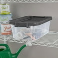 thumbnail image 5 of Sterilite 16 Qt Clear Plastic Storage Containers with Gray Lid (24 Pack), 5 of 10