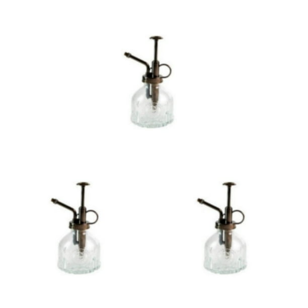 Advancent Regadera en relieve de vidrio, presión de aire, botella de agua pequeña, maceta con pulverizador, rociador de flores para plantas, Type1 NO1