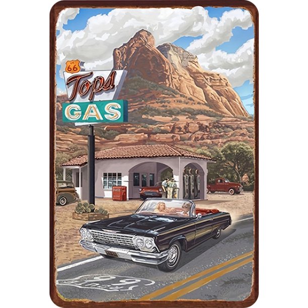 Placa Metal Vintage para Coche Pintura Hierro Rectangular Arte Pared Bar El 20x30cm