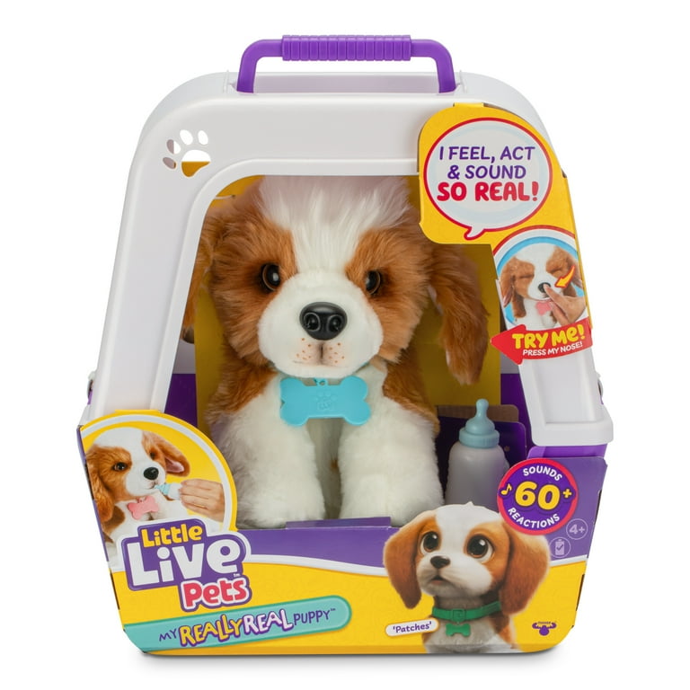 Online pet store live animals hotsell