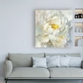 thumbnail image 3 of Trademark Fine Art 'Summer Joy I' Canvas Art by Danhui Nai, 3 of 3